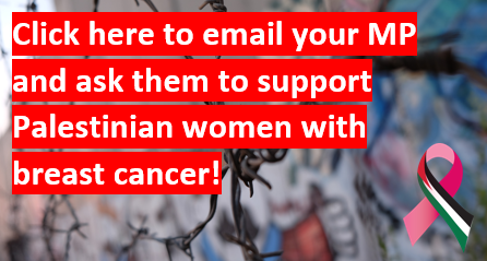 email your mp button