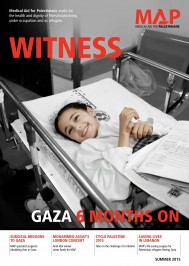 Witness Summer 2015 Cover